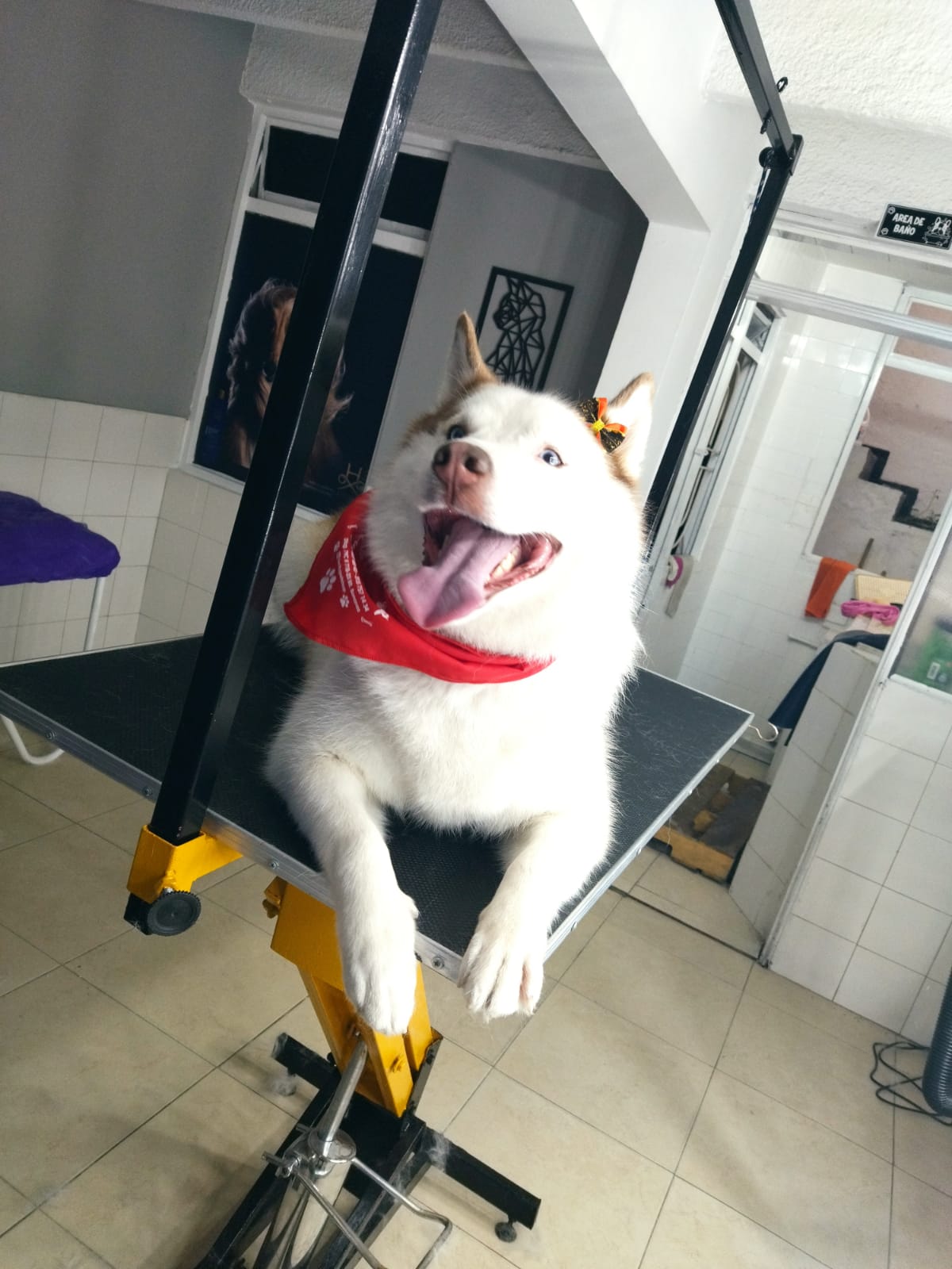 WhatsApp Image 2022-08-11 at 5.03.13 PM (3)